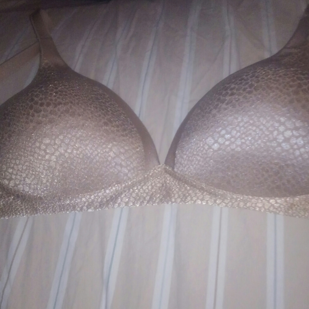Warner's Bra